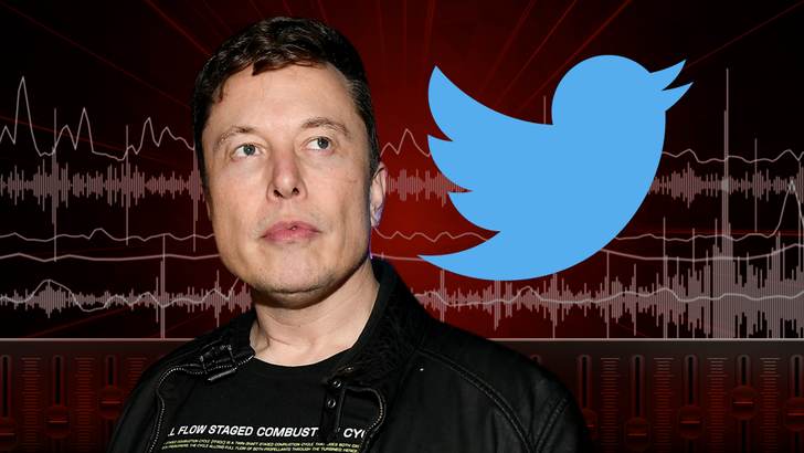 Elon Musk Gives Twitter Employees a Back to Work Ultimatum