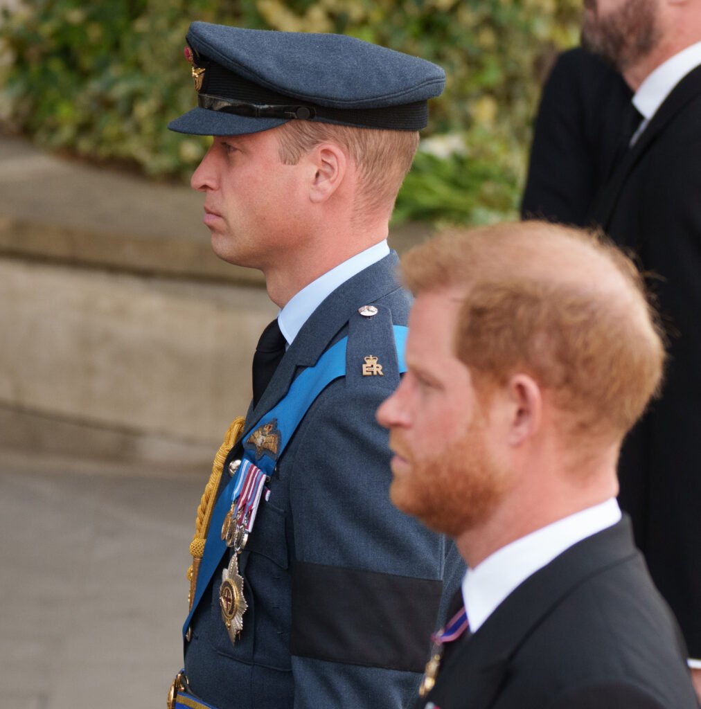 1680043871 207 King Charles Prince William BOTH Avoiding Prince Harry During His