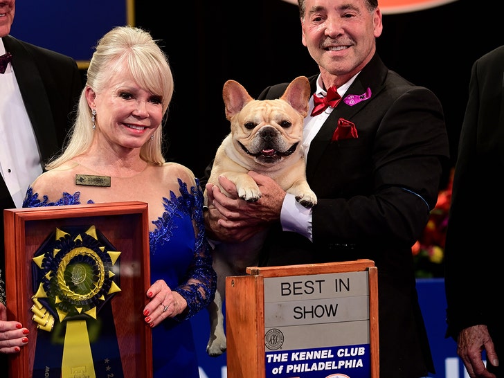 1669390234 908 Winston the Bulldog Wins Top Honors at National Dog Show
