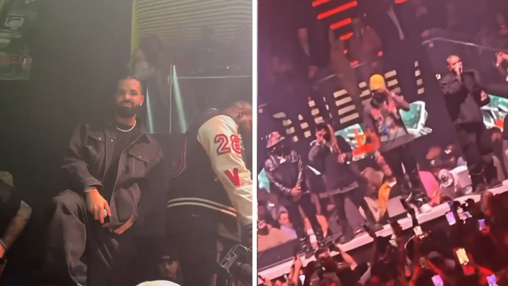 Drake Lil Wayne 2 Chainz Perform at Club LIV for